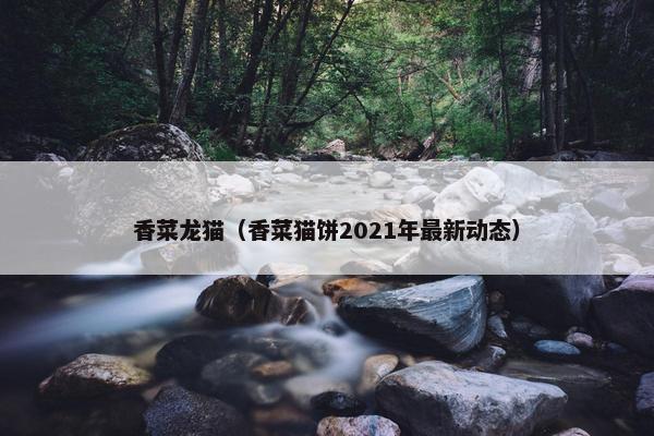 香菜龙猫（香菜猫饼2021年最新动态）