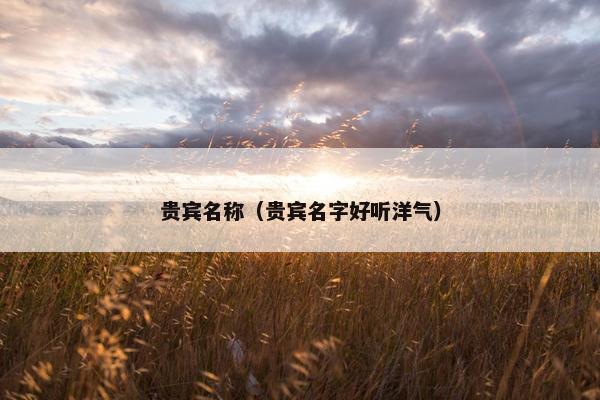 贵宾名称（贵宾名字好听洋气）