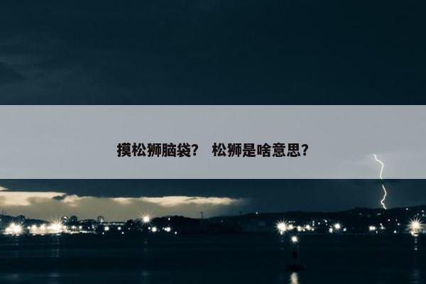 摸松狮脑袋？ 松狮是啥意思？
