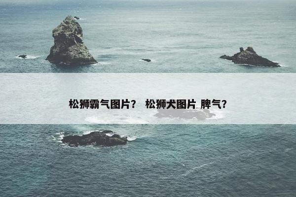 松狮霸气图片？ 松狮犬图片 脾气？