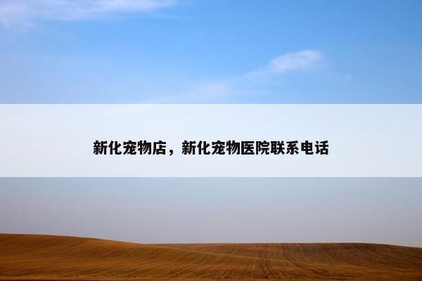 新化宠物店，新化宠物医院联系电话