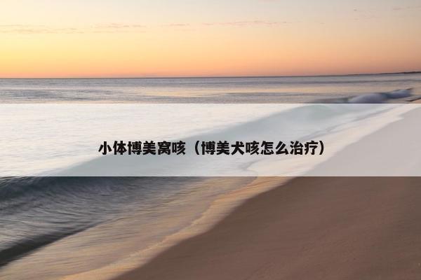 小体博美窝咳（博美犬咳怎么治疗）