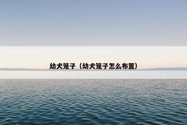 幼犬笼子（幼犬笼子怎么布置）