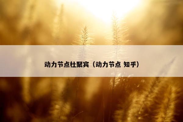 动力节点杜聚宾（动力节点 知乎）