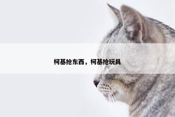 柯基抢东西，柯基抢玩具