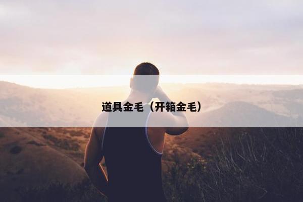 道具金毛（开箱金毛）