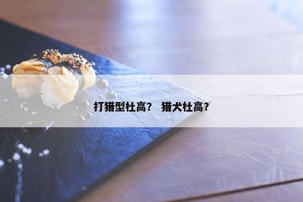 打猎型杜高？ 猎犬杜高？