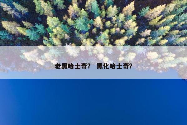 老黑哈士奇？ 黑化哈士奇？