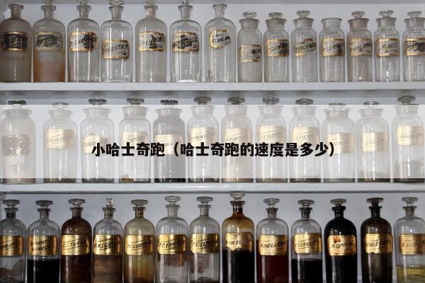 小哈士奇跑（哈士奇跑的速度是多少）