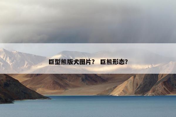 巨型熊版犬图片？ 巨熊形态？