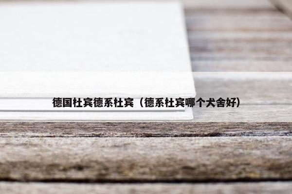 德国杜宾德系杜宾（德系杜宾哪个犬舍好）