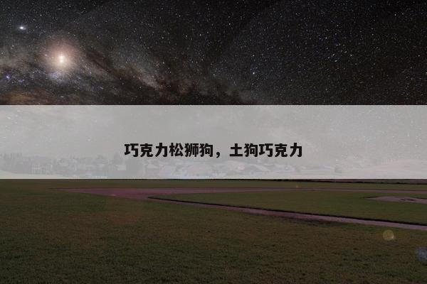 巧克力松狮狗，土狗巧克力