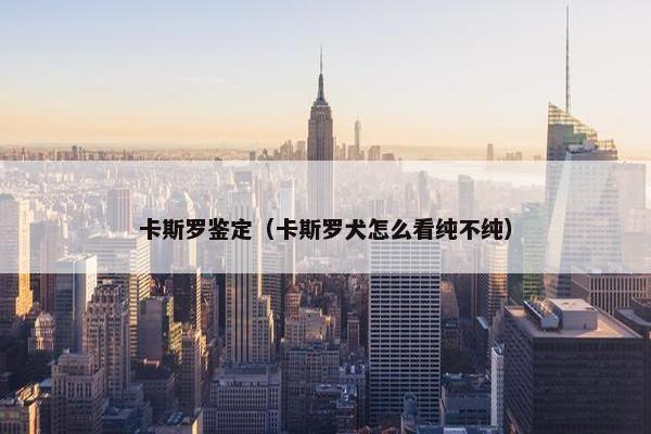 卡斯罗鉴定（卡斯罗犬怎么看纯不纯）