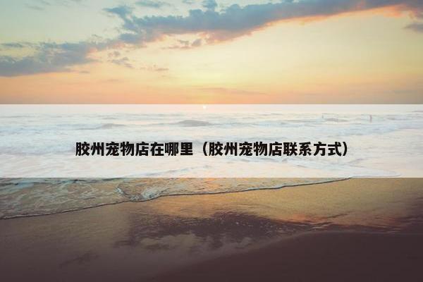 胶州宠物店在哪里（胶州宠物店联系方式）