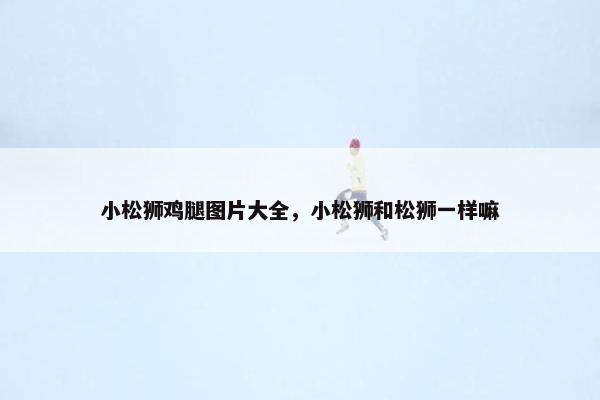 小松狮鸡腿图片大全，小松狮和松狮一样嘛