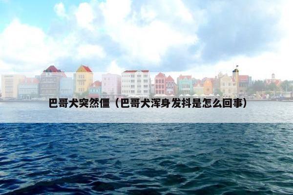 巴哥犬突然僵（巴哥犬浑身发抖是怎么回事）