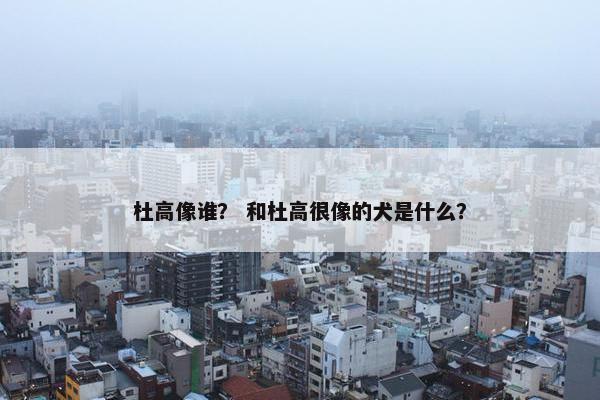 杜高像谁？ 和杜高很像的犬是什么？