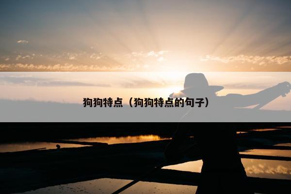 狗狗特点（狗狗特点的句子）