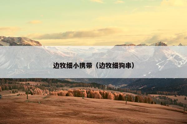 边牧细小携带（边牧细狗串）