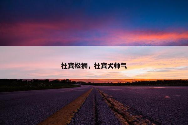 杜宾松狮，杜宾犬帅气