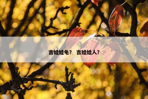 吉娃娃龟？ 吉娃娃人？