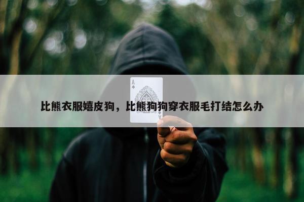 比熊衣服嬉皮狗，比熊狗狗穿衣服毛打结怎么办