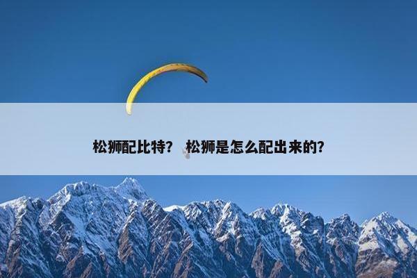 松狮配比特？ 松狮是怎么配出来的？