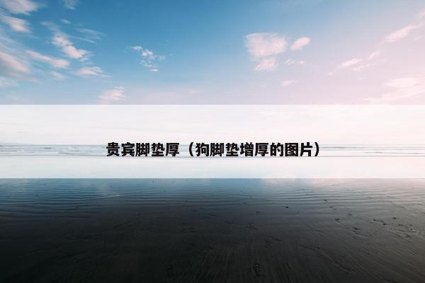 贵宾脚垫厚（狗脚垫增厚的图片）