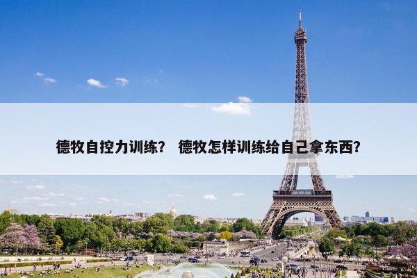 德牧自控力训练？ 德牧怎样训练给自己拿东西？