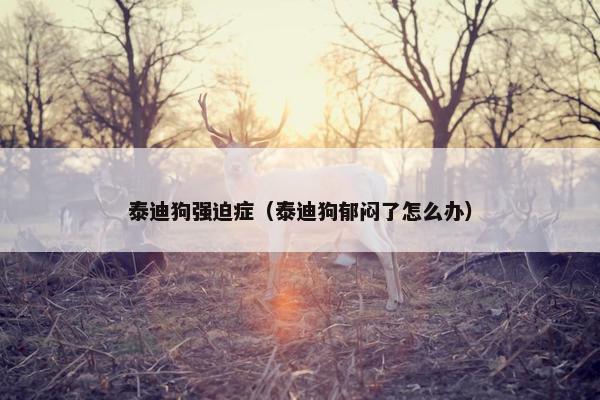 泰迪狗强迫症（泰迪狗郁闷了怎么办）