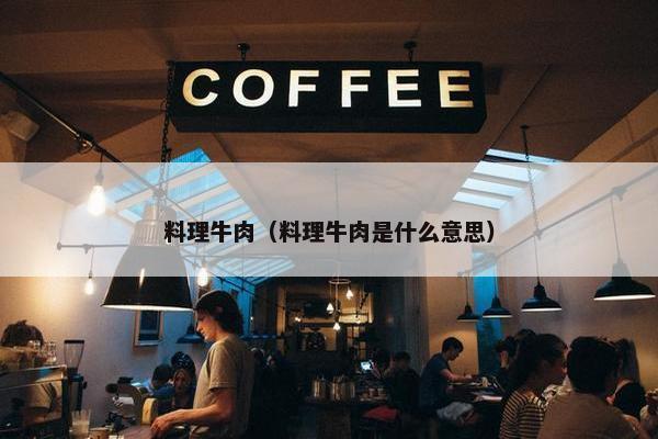 料理牛肉（料理牛肉是什么意思）