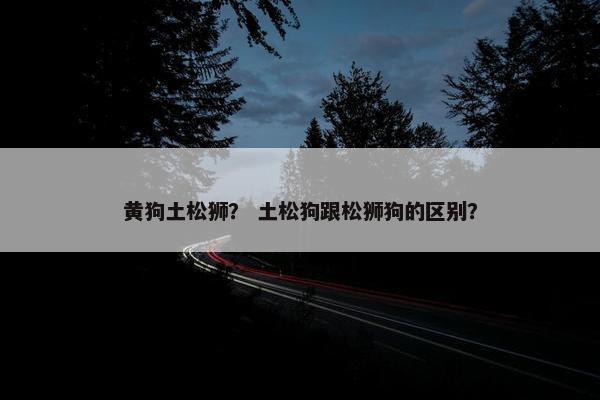 黄狗土松狮？ 土松狗跟松狮狗的区别？