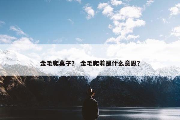 金毛爬桌子？ 金毛爬着是什么意思？