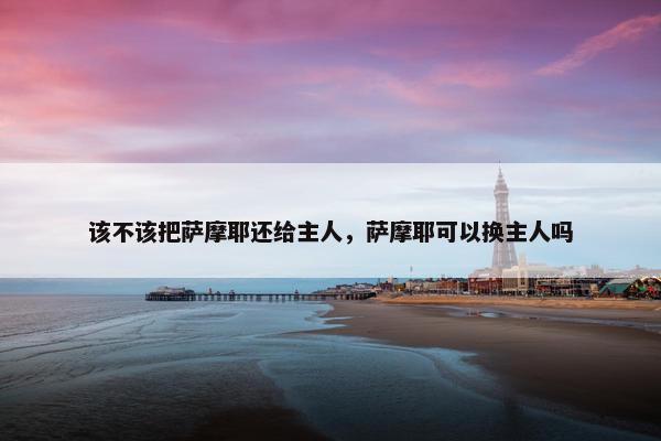 该不该把萨摩耶还给主人，萨摩耶可以换主人吗