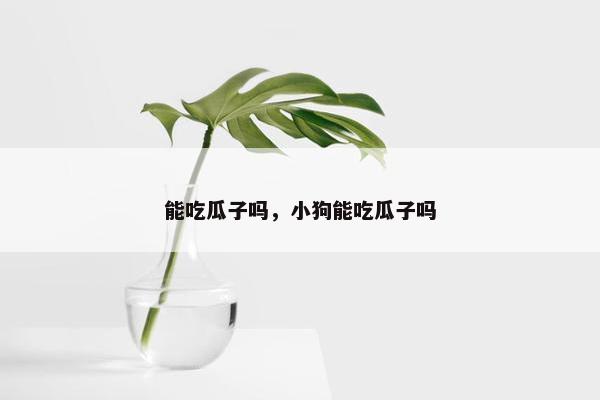 能吃瓜子吗，小狗能吃瓜子吗