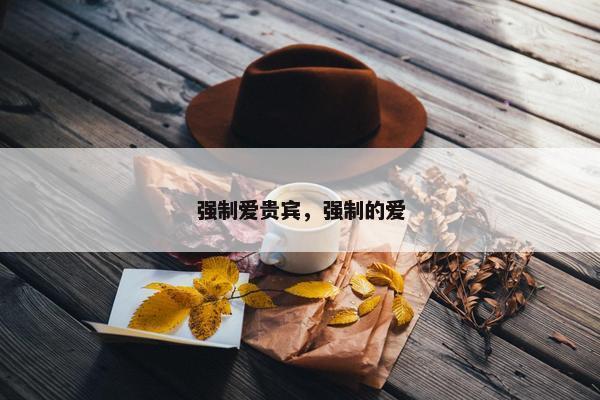 强制爱贵宾，强制的爱