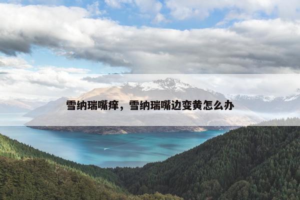 雪纳瑞嘴痒，雪纳瑞嘴边变黄怎么办