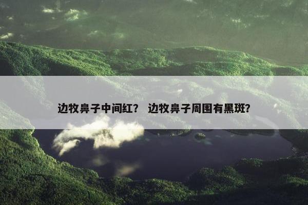 边牧鼻子中间红？ 边牧鼻子周围有黑斑？