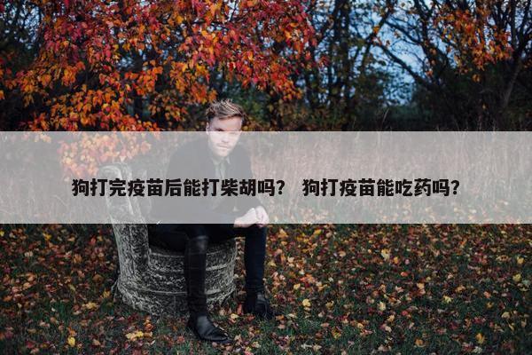 狗打完疫苗后能打柴胡吗？ 狗打疫苗能吃药吗？