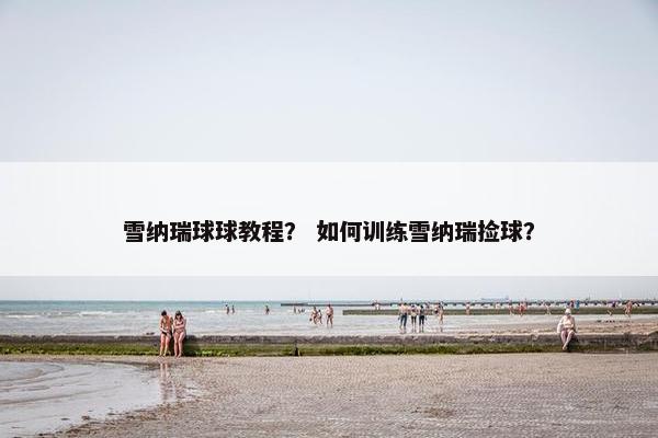 雪纳瑞球球教程？ 如何训练雪纳瑞捡球？