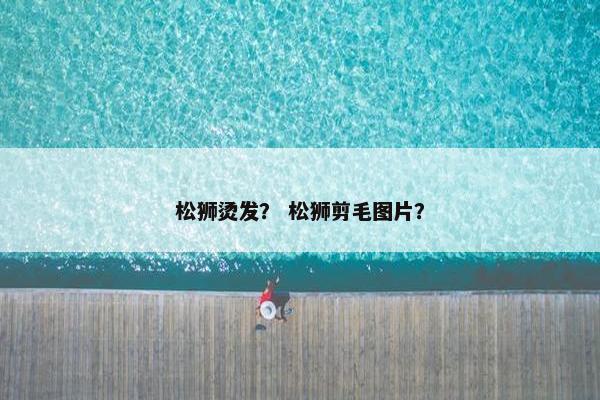 松狮烫发？ 松狮剪毛图片？