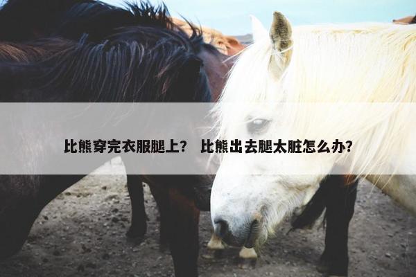 比熊穿完衣服腿上？ 比熊出去腿太脏怎么办？