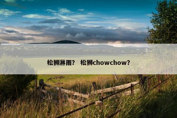 松狮淋雨？ 松狮chowchow？