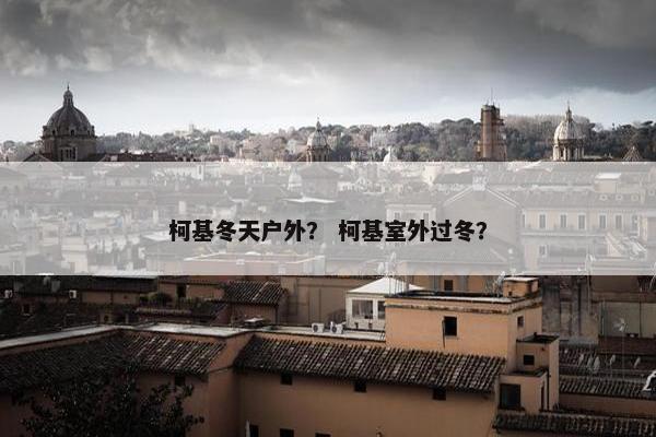 柯基冬天户外？ 柯基室外过冬？