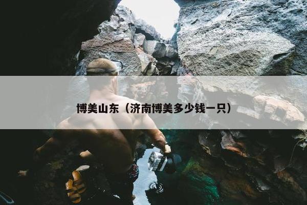 博美山东（济南博美多少钱一只）