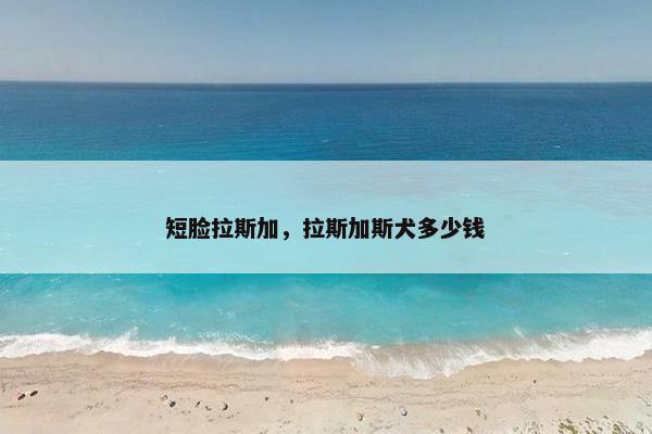 短脸拉斯加，拉斯加斯犬多少钱