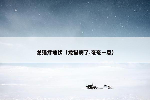 龙猫疼痛状（龙猫病了,奄奄一息）
