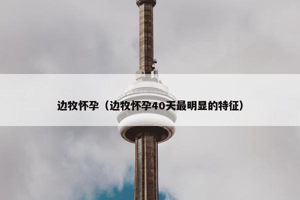 边牧怀孕（边牧怀孕40天最明显的特征）