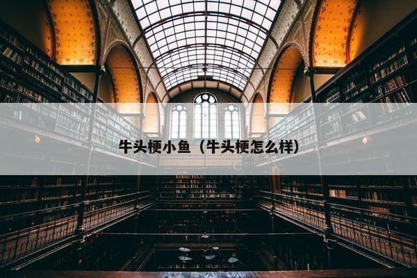 牛头梗小鱼（牛头梗怎么样）
