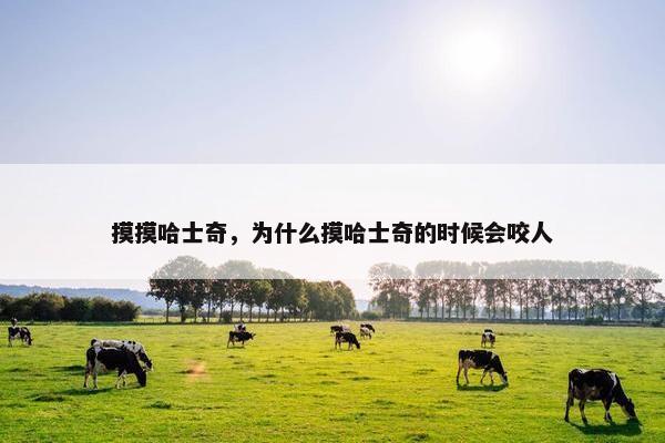 摸摸哈士奇，为什么摸哈士奇的时候会咬人